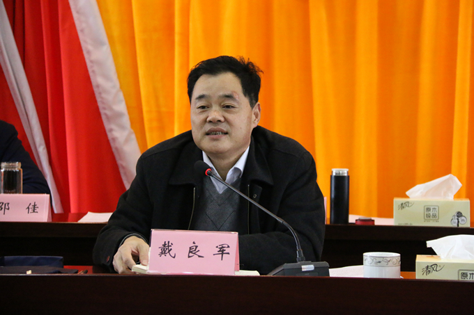 集團黨委委員、副總經(jīng)理、總工程師戴良軍發(fā)表講話